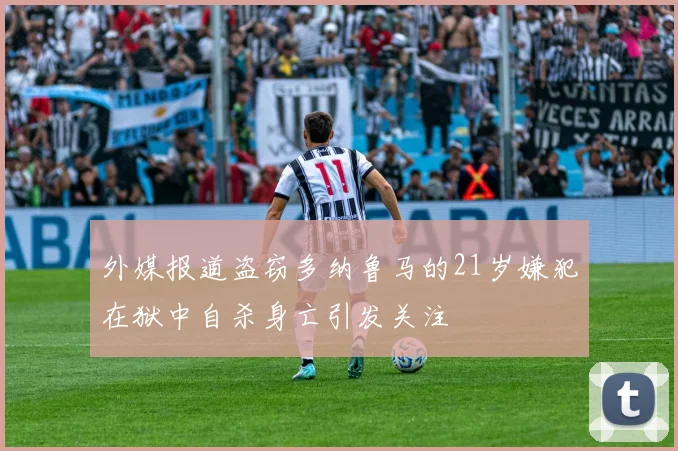 外媒报道盗窃多纳鲁马的21岁嫌犯在狱中自杀身亡引发关注