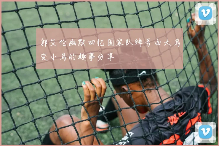 郭艾伦幽默回忆国家队绰号由大鸟变小鸟的趣事分享