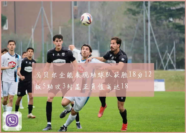 戈贝尔全能表现助球队获胜18分12板5助攻3封盖正负值高达18